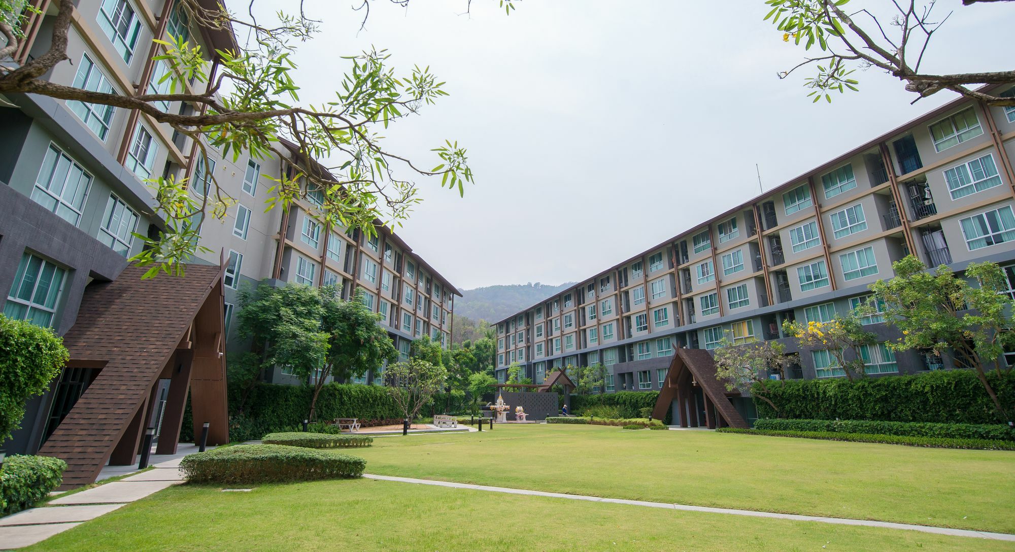 Hoc Daily Apartment Chiang Mai Eksteriør billede